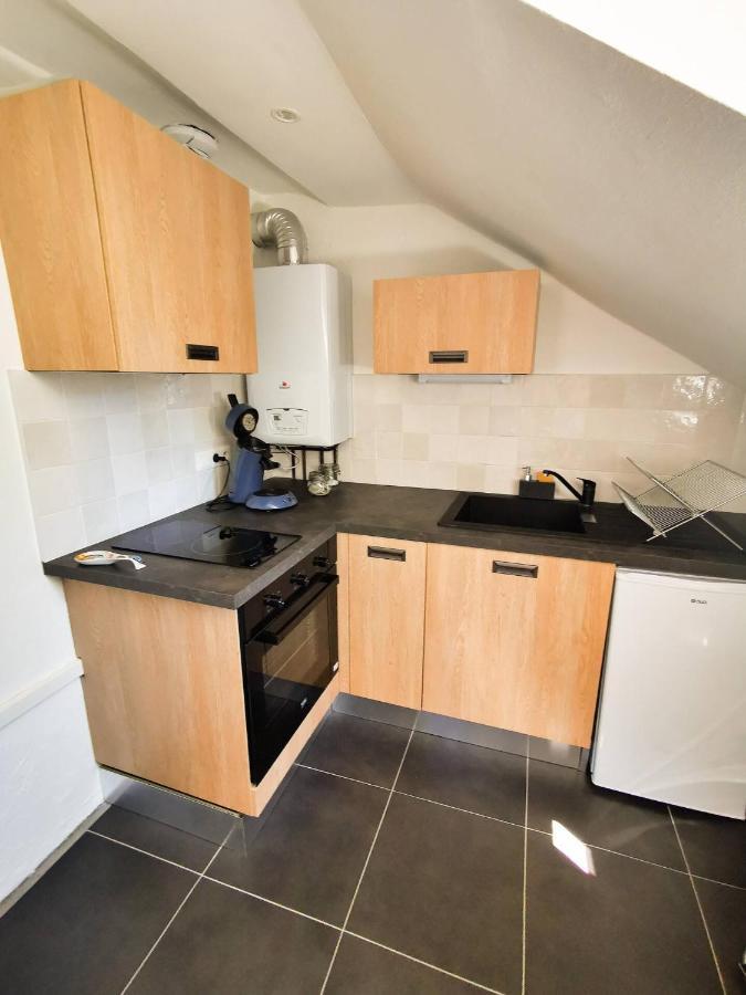 Appartement Cosy En Hypercentre - Le Petit Jules ディジョン エクステリア 写真