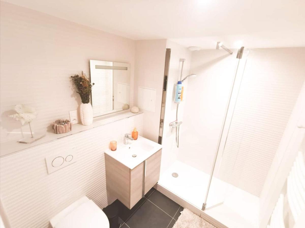 Appartement Cosy En Hypercentre - Le Petit Jules ディジョン エクステリア 写真